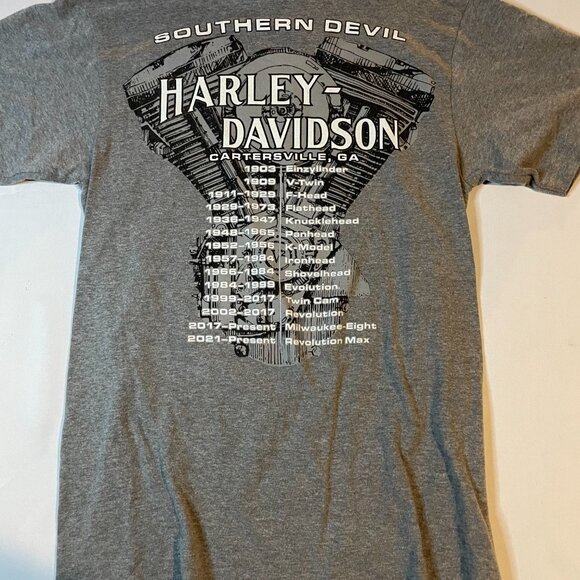 Harley Davidson Southern Devil Tee Shirt Men Small Gray Graphic Motorcycle Biker - Picture 6 of 6